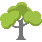Logan Tree Trimming Service