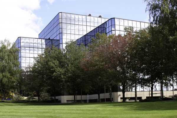 Commercial Tree Trimming in Logan