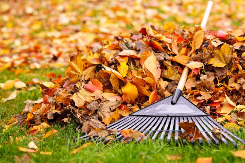 Leaf Raking